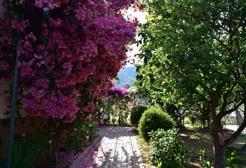 סוויטה משפחתית, Lemon Garden Lodge