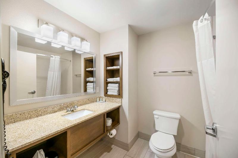 스탠다드 룸 킹사이즈 침대, Quality Inn & Suites Carlsbad Caverns Area