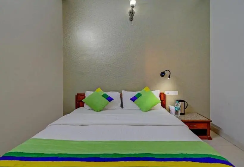 Economy Zimmer, Treebo Bliss