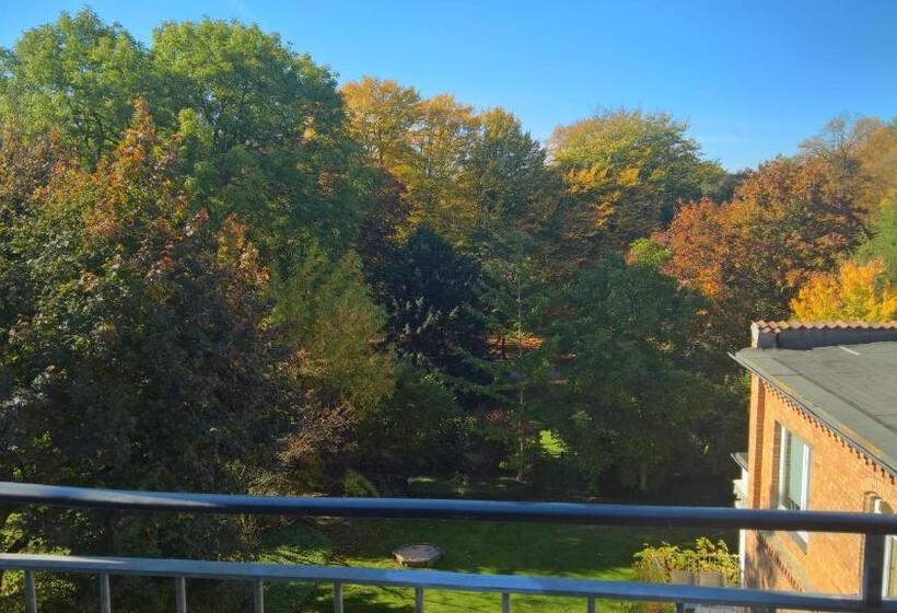 اتاق استاندارد یک نفره, Am Park