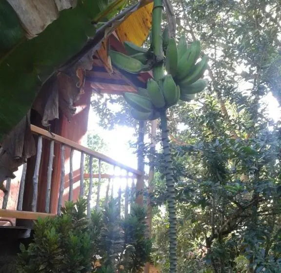 スタンダードルーム, Selvablanca Hostel