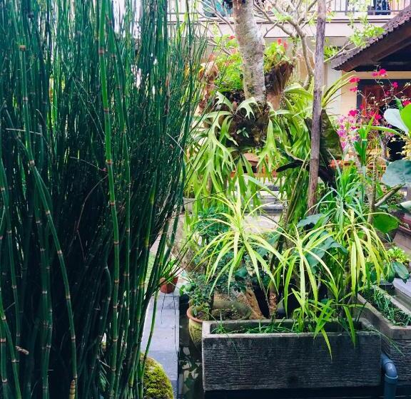 חדר משפחתי, Wina Ubud B&b