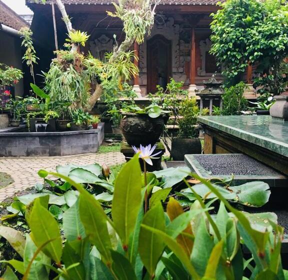 חדר אקונומי, Wina Ubud B&b