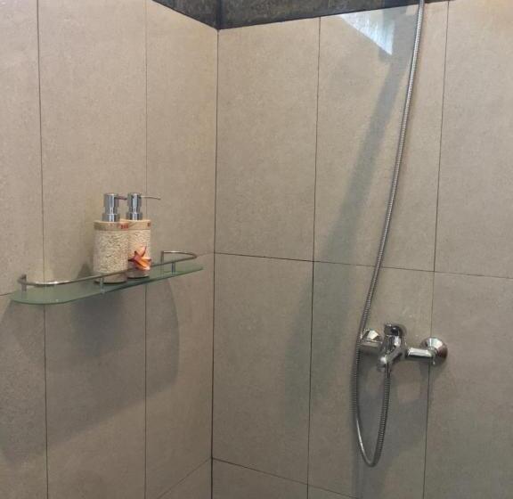 חדר אקונומי, Wina Ubud B&b