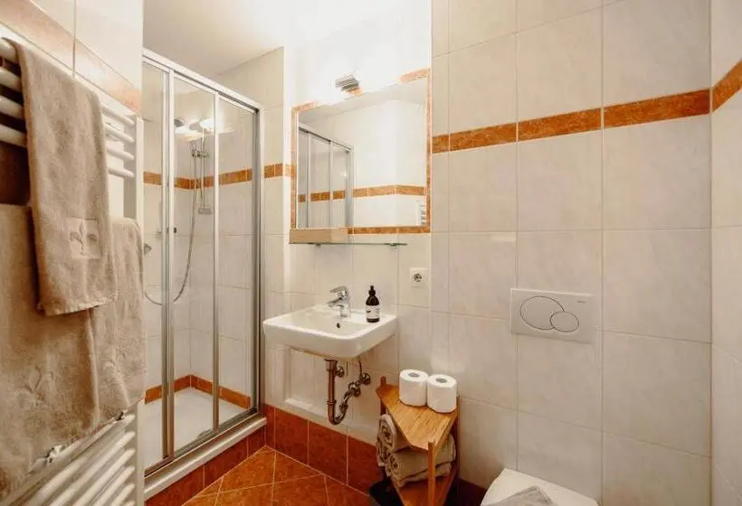 آپارتمان 1 خوابه همکف, Stadlhof