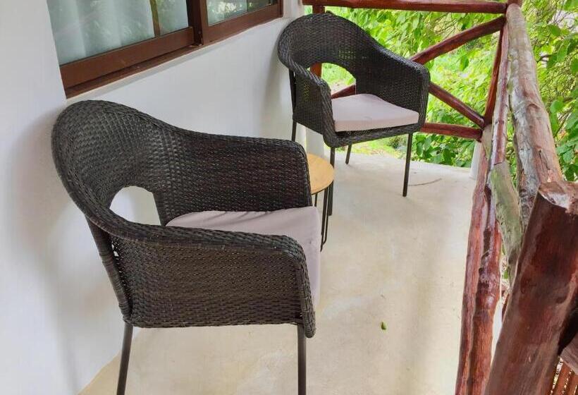 غرفة قياسية, Sun Ha Bacalar