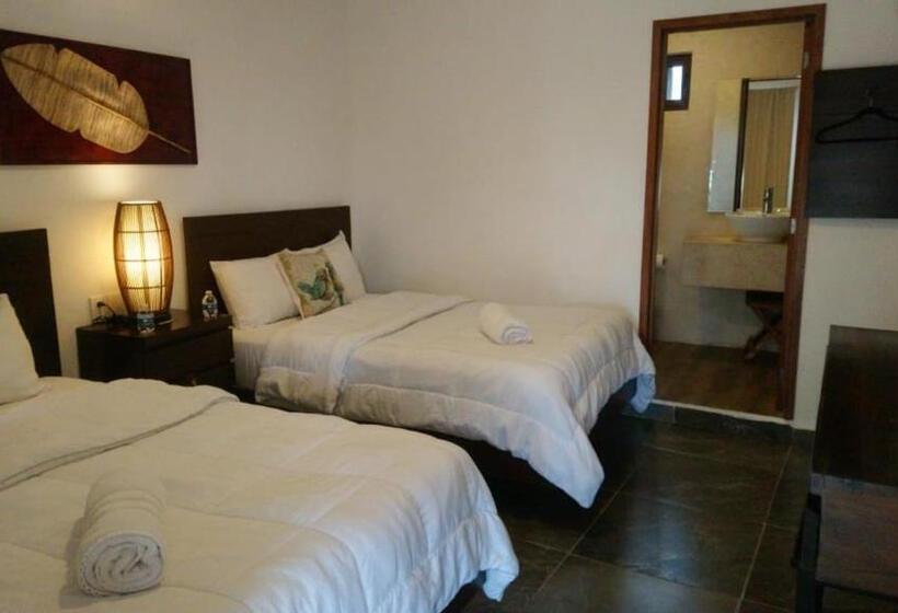 غرفة قياسية, Sun Ha Bacalar