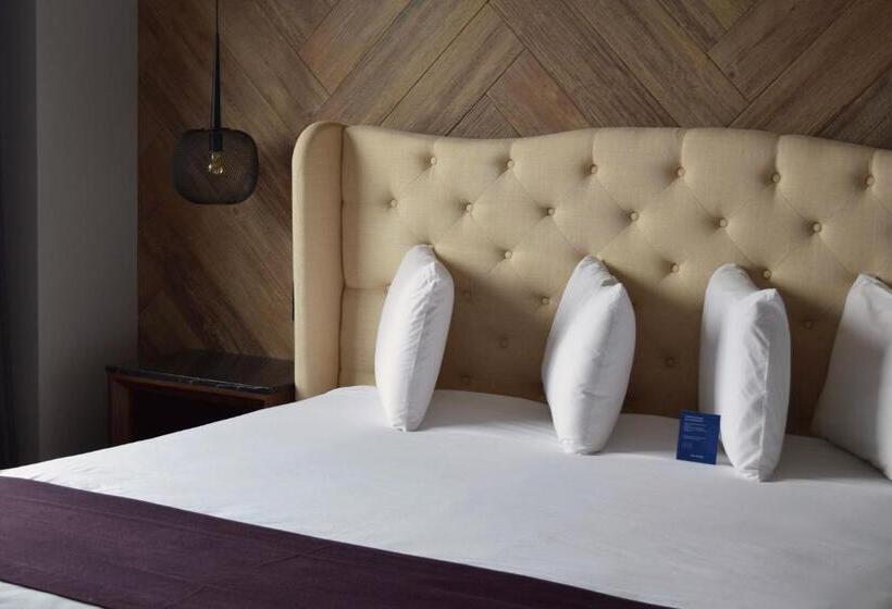 סוויטה דלוקס, Casa Basalto