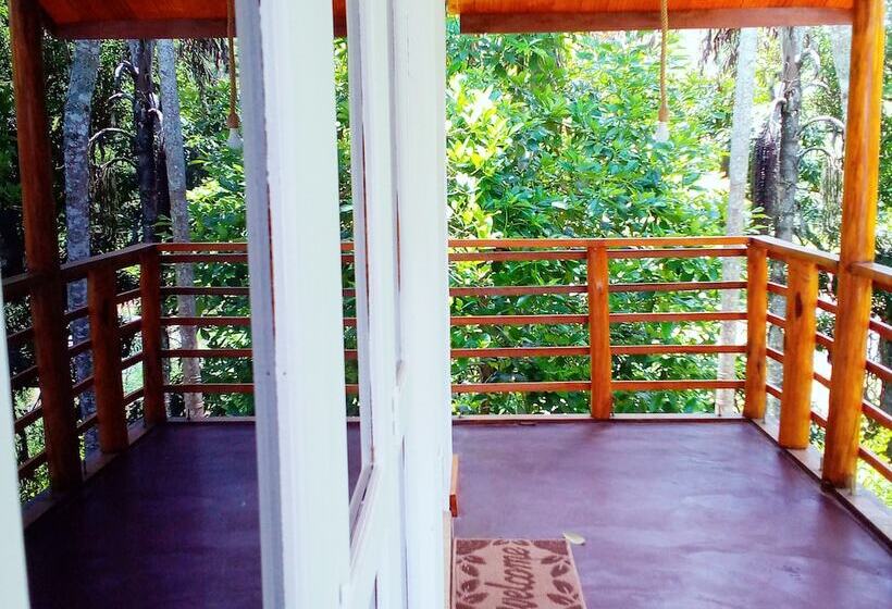 Apartamento Deluxe 1 Dormitório, Walkers Nest