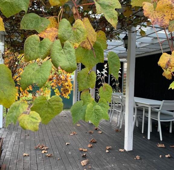 １ベッドルームハウス, Mystery Creek Motel