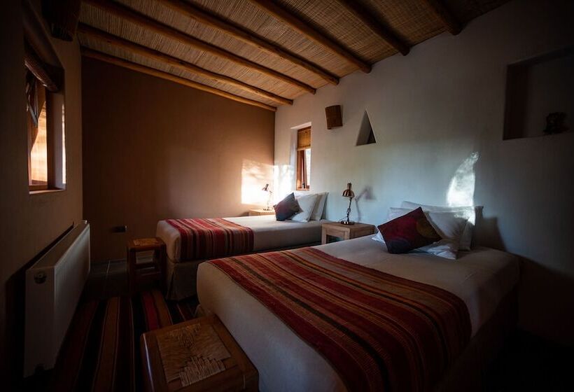 スタンダードルーム, Naturalis