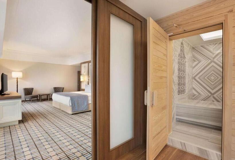 سوئیت با تخت بزرگ, Ramada Plaza By Wyndham Rize