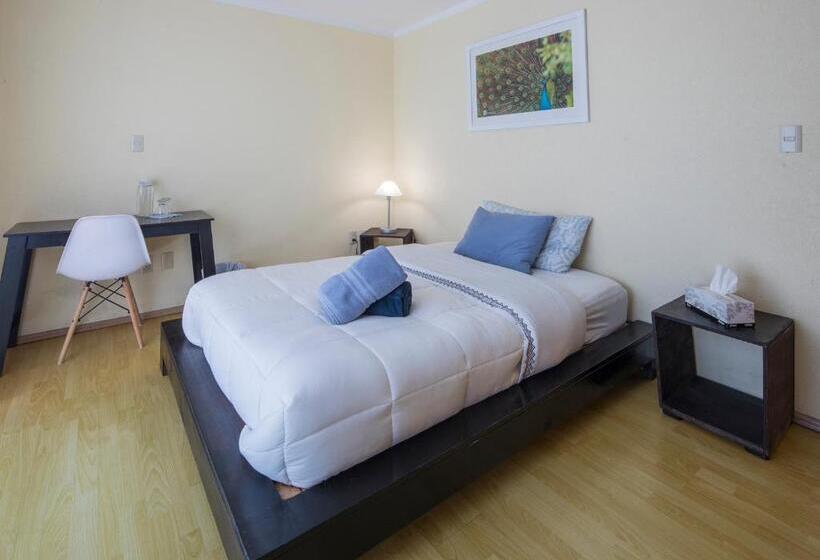 스탠다드 룸 가든 전망, Casa Hidalgo