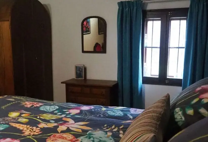 シングルデラックスルーム, Little River Guest House