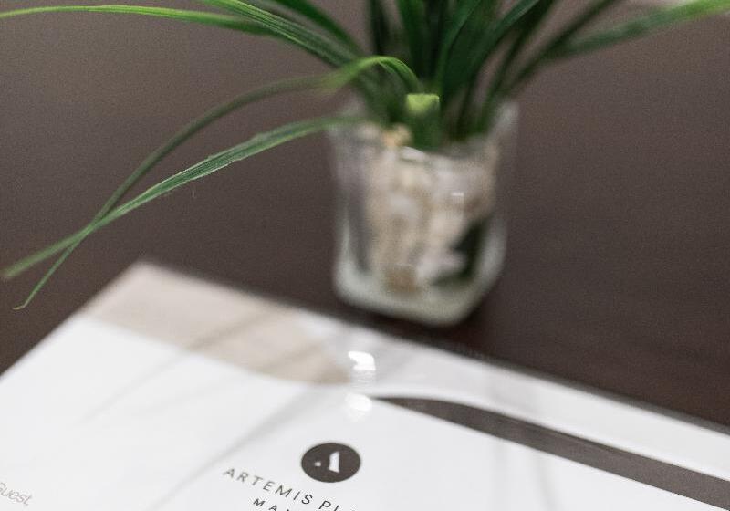 סטודיו דלוקס, Artemis Place Makati