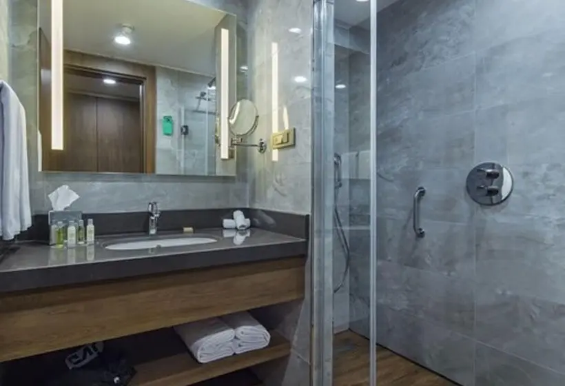 اتاق استاندارد, Hilton Garden Inn Yalova