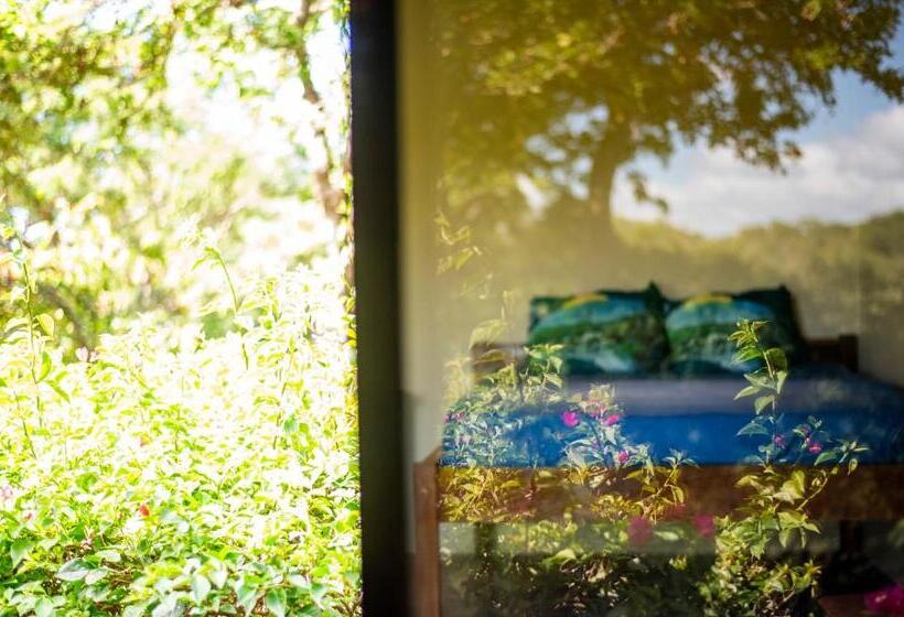 سوییت لوکس, Hush Maderas