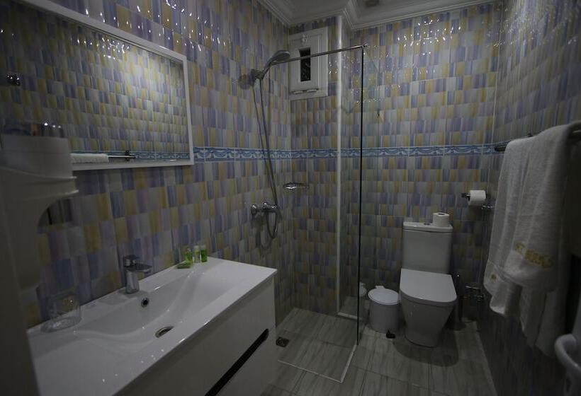 غرفة قياسية, Mansour