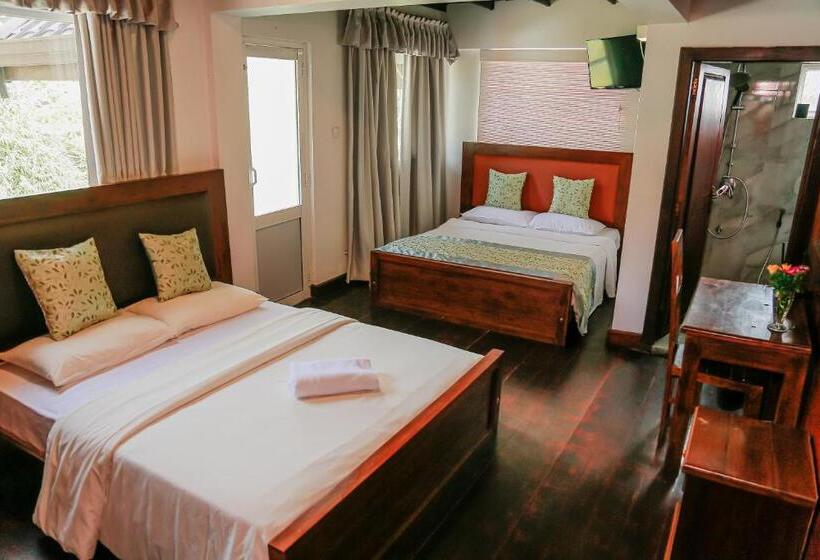 חדר משפחתי, Top Venice