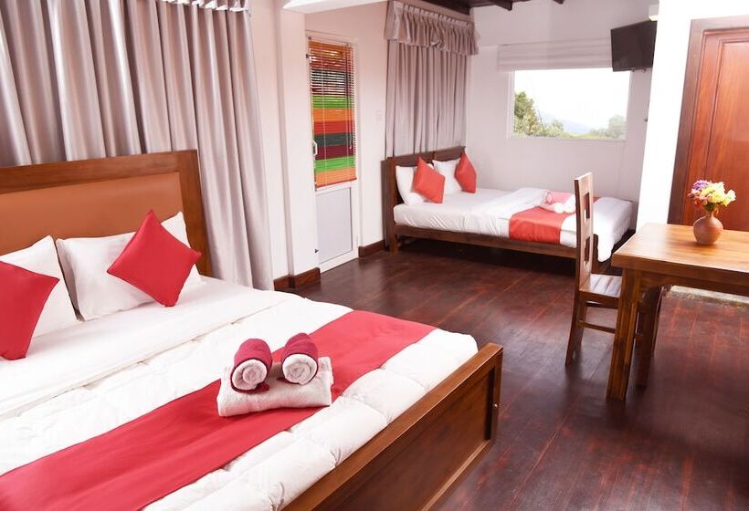 חדר משפחתי, Top Venice