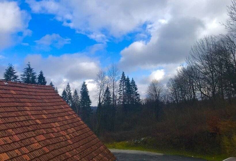 스탠다드 룸, Waldhotel Peter Aufm Berge