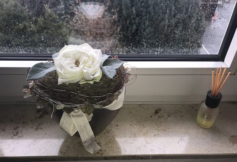 기본룸, Waldhotel Peter Aufm Berge