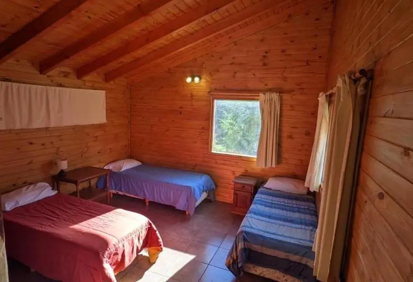 スタンダードルーム, Lo De Pablo