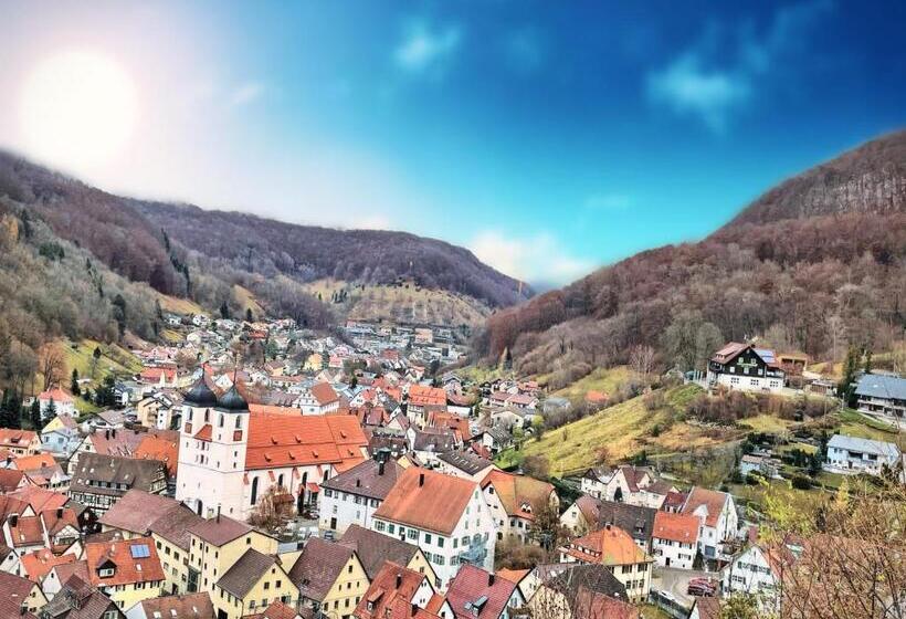 Номер Стандарт, Albhotel Malakoff   House Of Nature