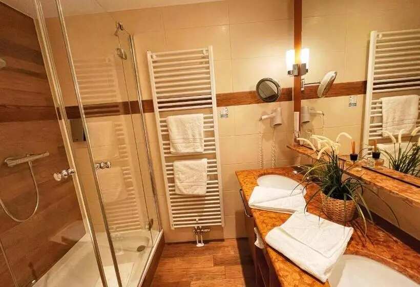 バルコニー付きスタンダードルーム, Albhotel Malakoff   House Of Nature