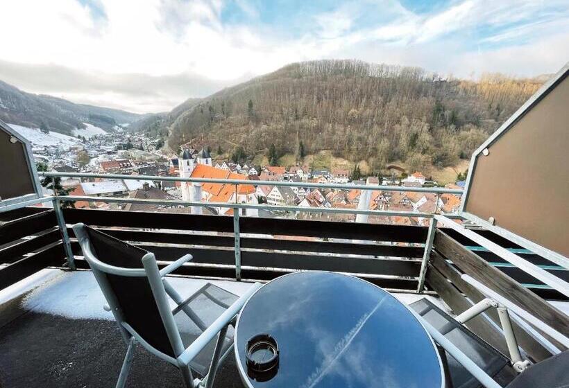 Номер Стандарт с Балконом, Albhotel Malakoff   House Of Nature