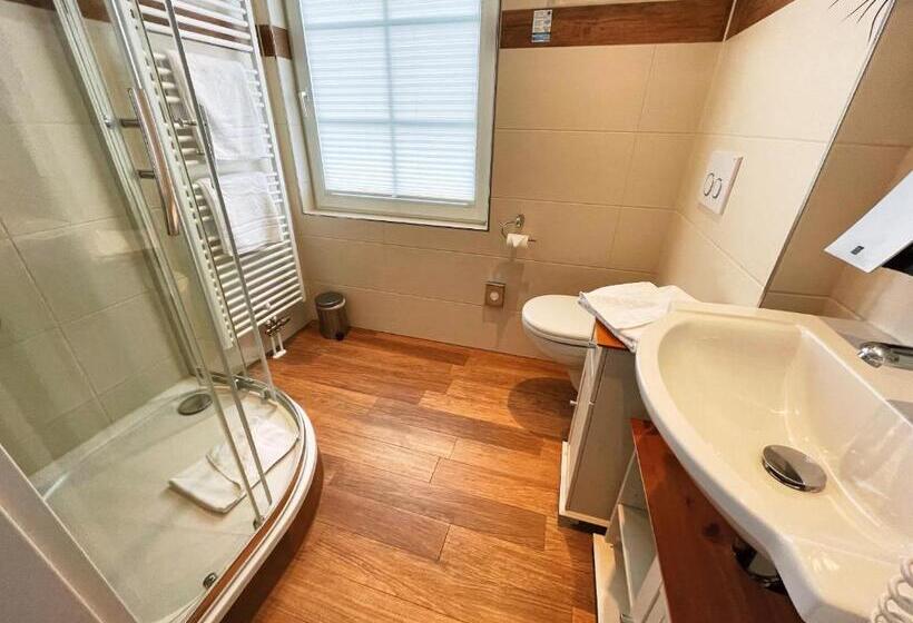 Номер Стандарт с Балконом, Albhotel Malakoff   House Of Nature