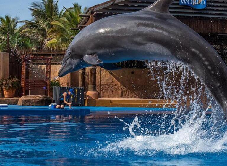 스탠다드 룸 주방구비, Bayside Hotel & Self Catering 110 West Street