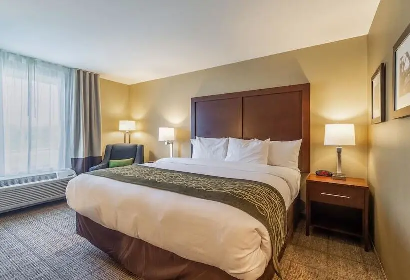 スイート, Comfort Inn & Suites – Harrisburg Airport – Hershey South