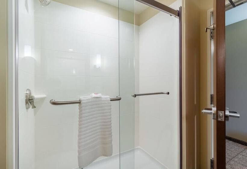 套房, Comfort Inn & Suites – Harrisburg Airport – Hershey South