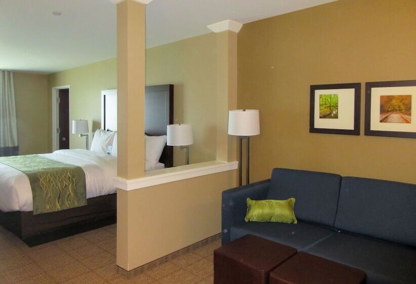 套房, Comfort Inn & Suites – Harrisburg Airport – Hershey South
