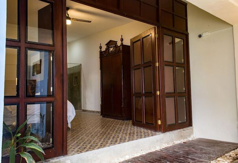 استودیوی استاندارد, Maculís