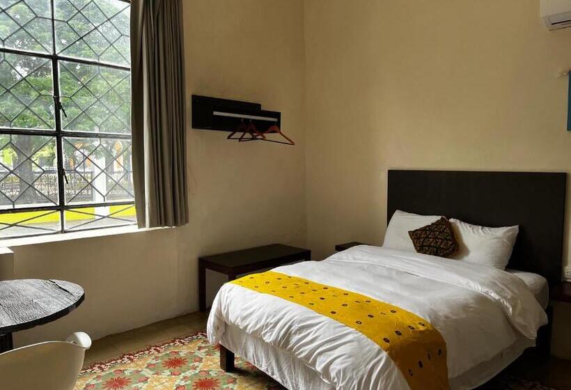 اتاق استاندارد, Maculís