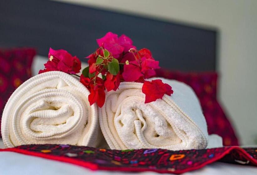 اتاق استاندارد, Maculís