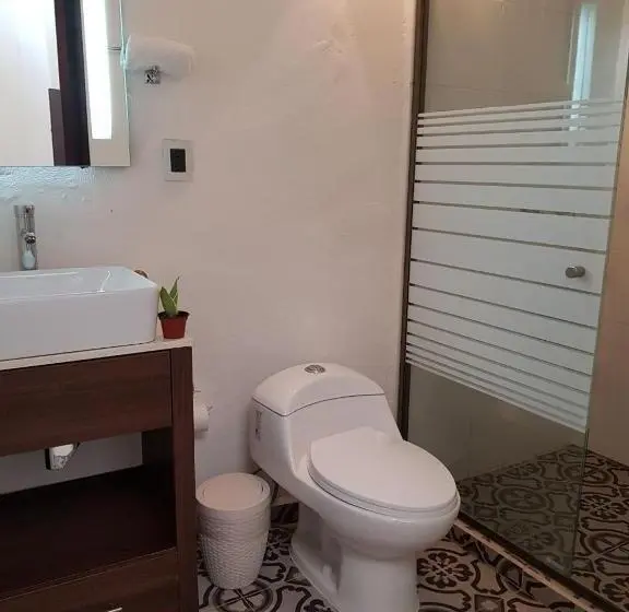 استودیوی استاندارد, Maculís