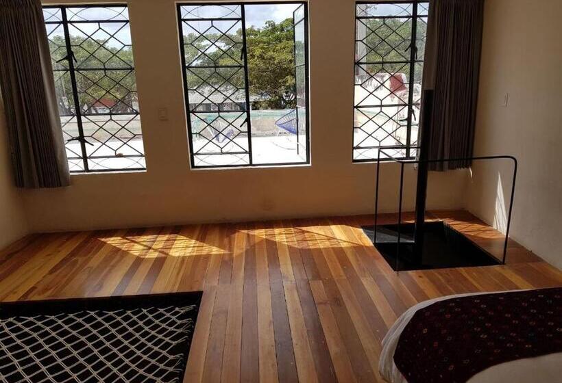 استودیوی استاندارد, Maculís