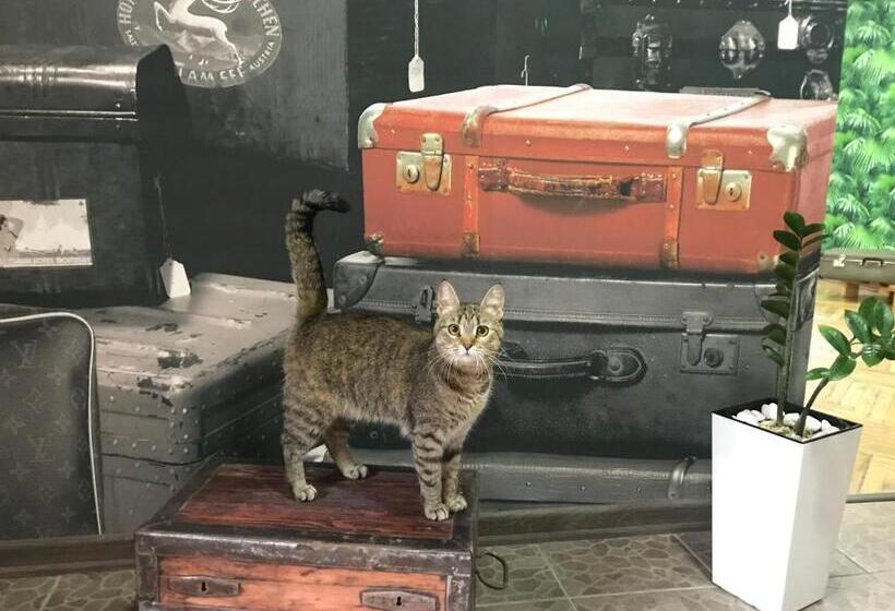 Standard-huone Jaettu Kylpyhuone, Sacvoyage