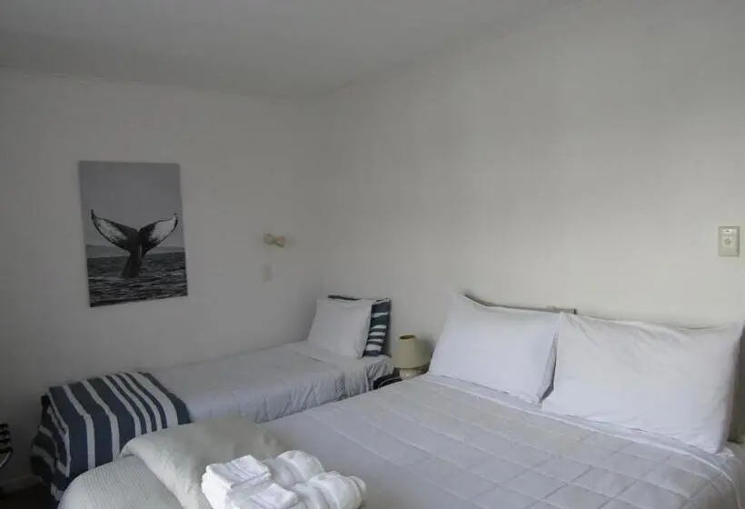 اتاق خانوادگی با چشم‌انداز جانبی دریا, Anchorage Motel