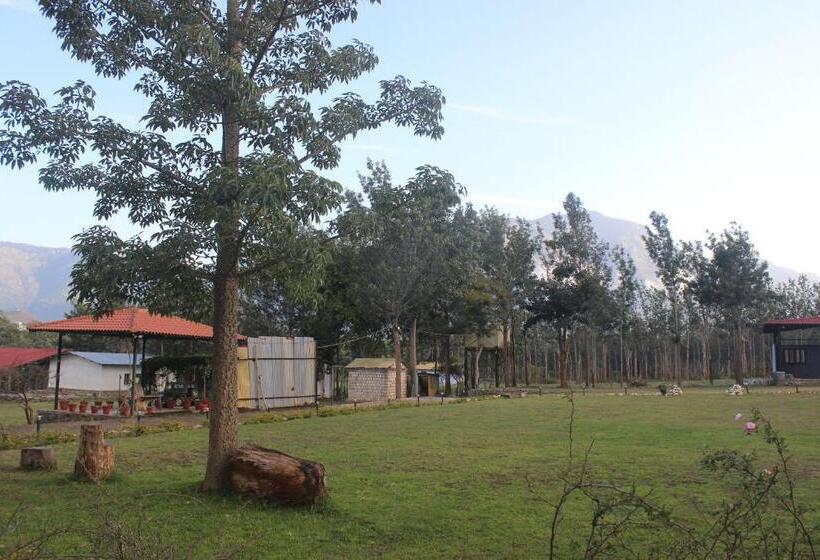 Svit, Singaras Coffee Country