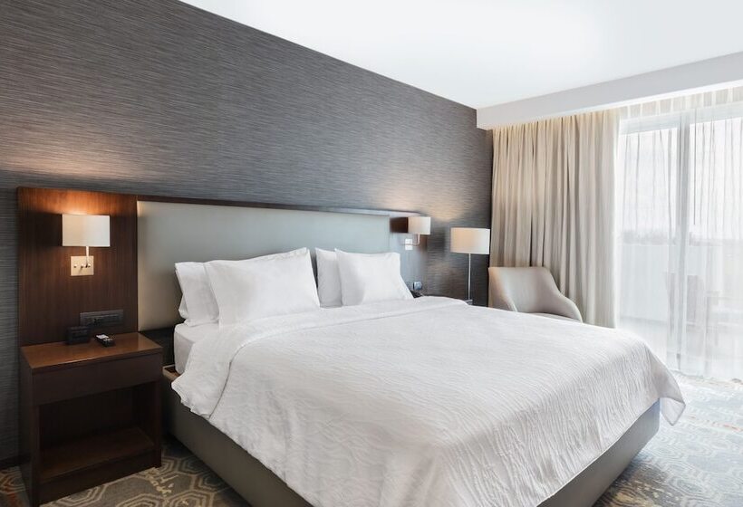 ダブルベッドスタンダードルーム, Hilton Garden Inn Salamanca