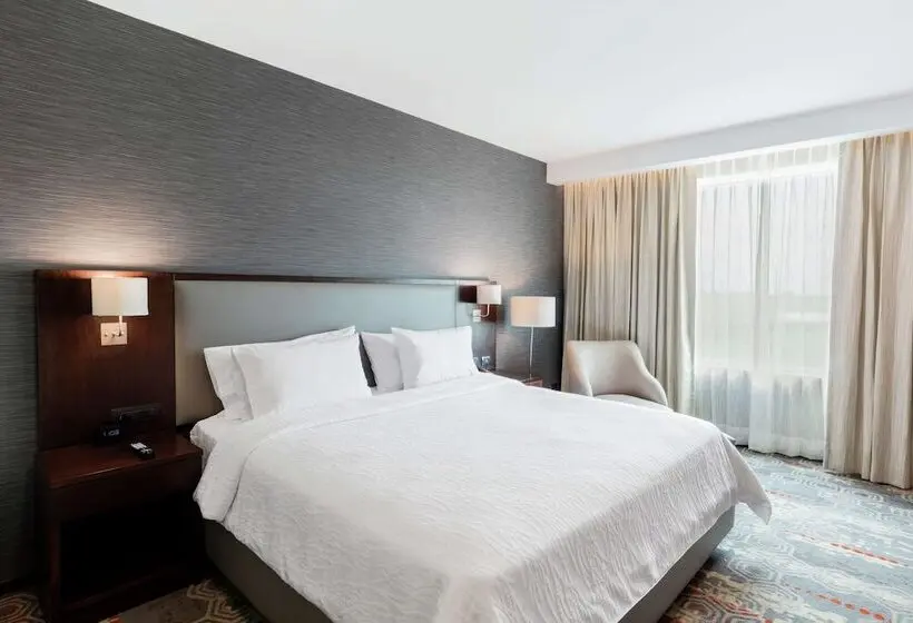 ダブルベッドスタンダードルーム, Hilton Garden Inn Salamanca