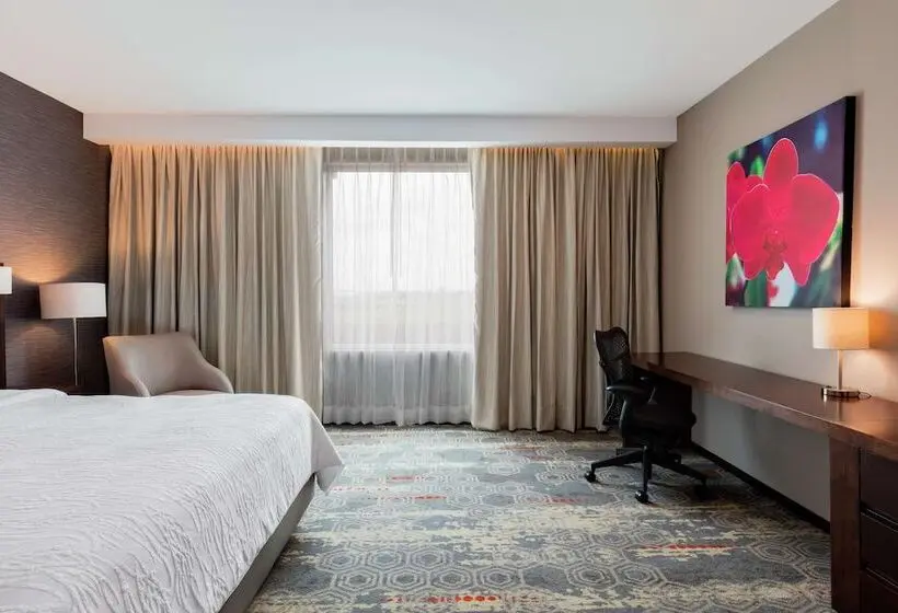 ダブルベッドスタンダードルーム, Hilton Garden Inn Salamanca