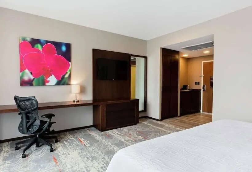 ダブルベッドスタンダードルーム, Hilton Garden Inn Salamanca