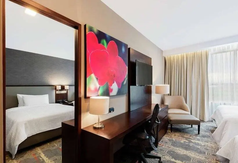 ２ダブルベッドのスタンダードルーム, Hilton Garden Inn Salamanca