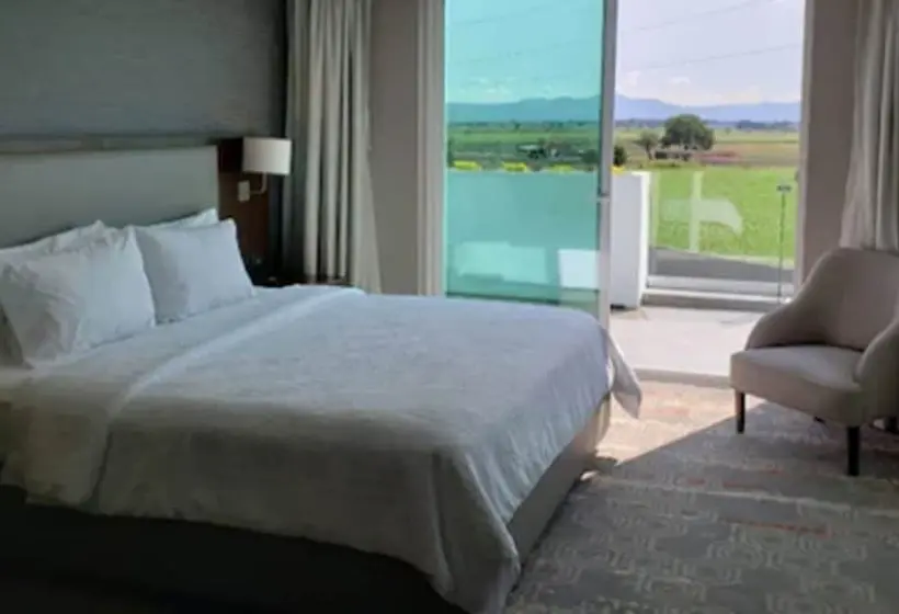バルコニー付スイート, Hilton Garden Inn Salamanca