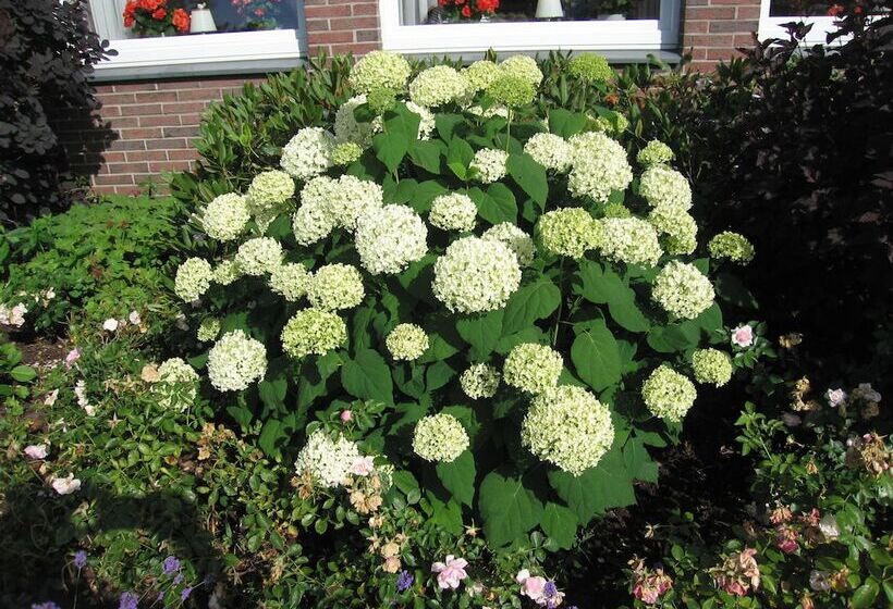 标准单人间, Zum Rosenteich